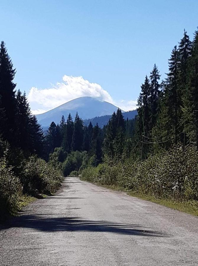 Говерлянка Villa Vorokhta Luaran gambar