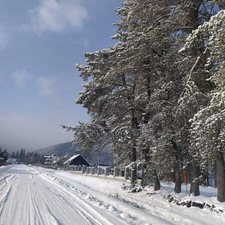 Говерлянка Villa Vorokhta Luaran gambar