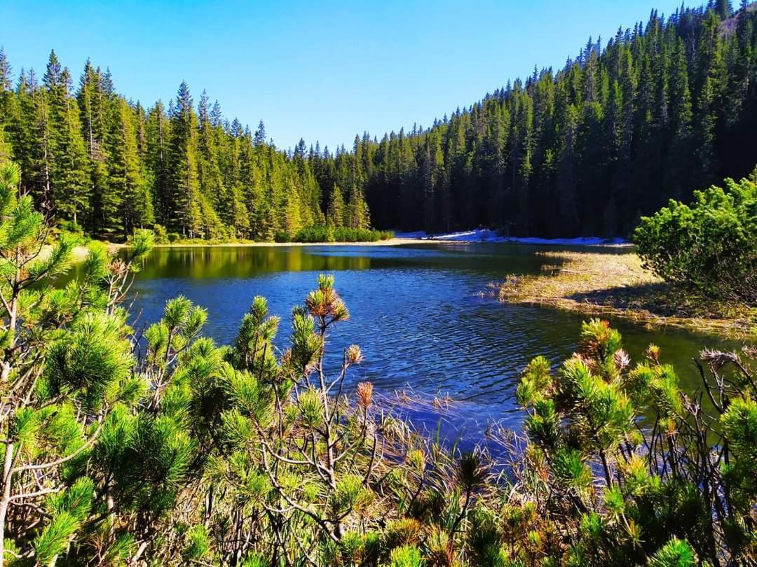 Говерлянка Villa Vorokhta Luaran gambar