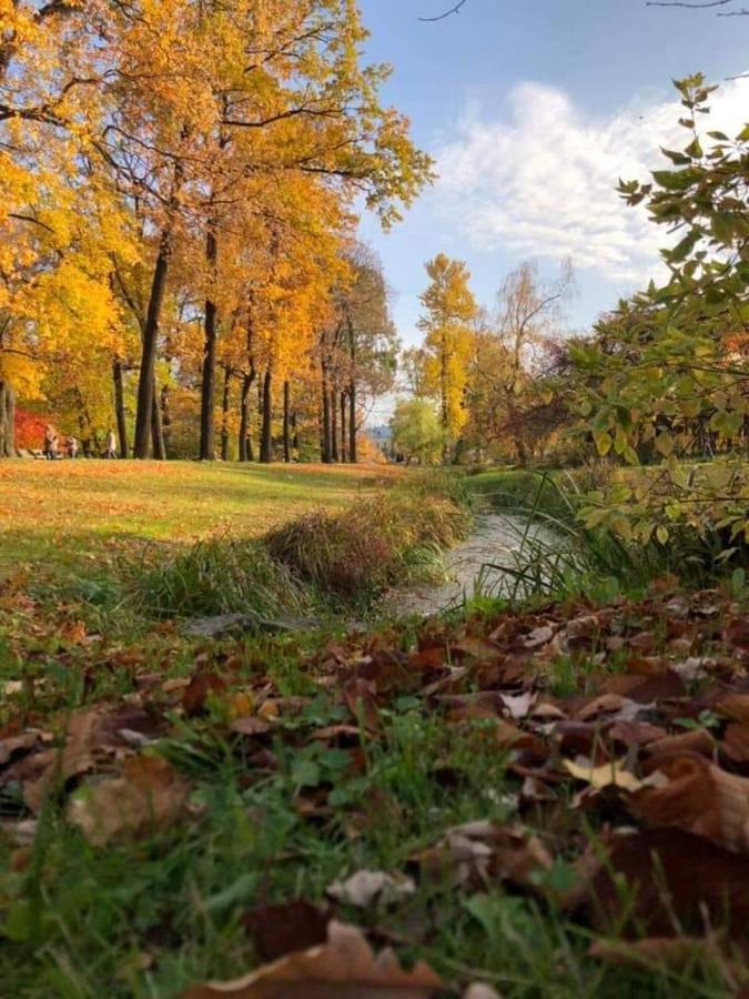 Говерлянка Villa Vorokhta Luaran gambar