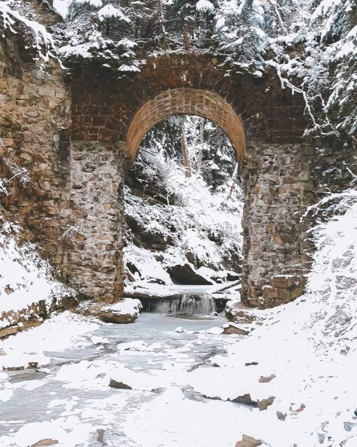 Говерлянка Villa Vorokhta Luaran gambar