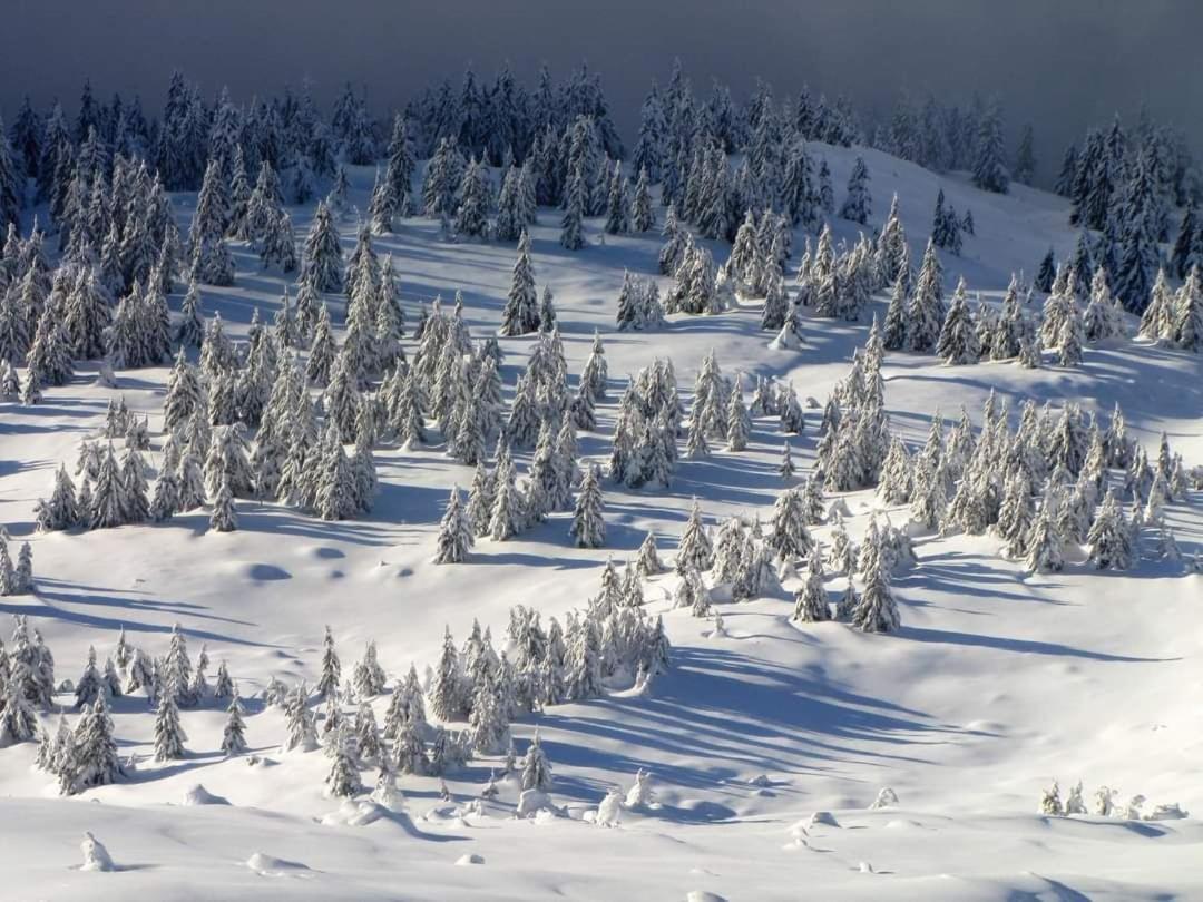 Говерлянка Villa Vorokhta Luaran gambar